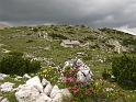 Drei Zinnen Runde 'Lange Alm Huette 2283m' (4)